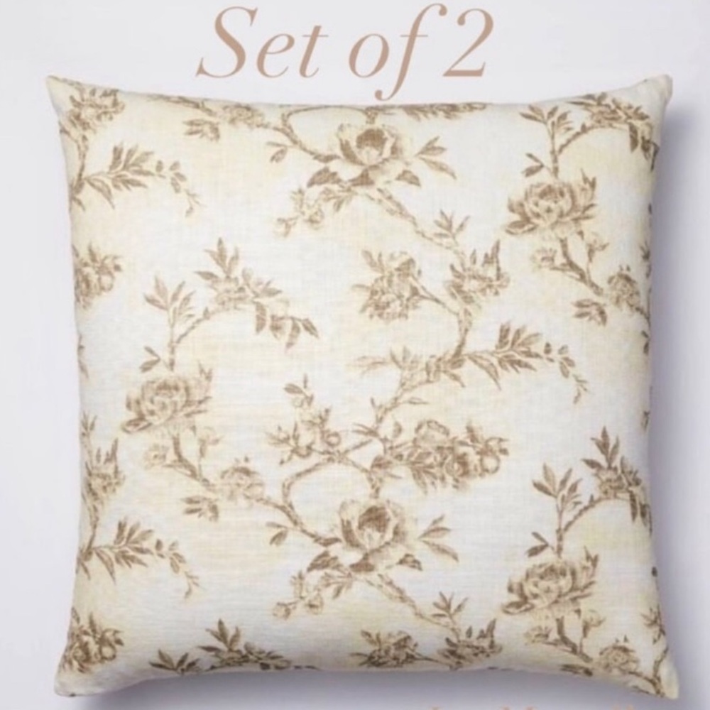 This listing is for 2 NWT Studio McGee pillows.